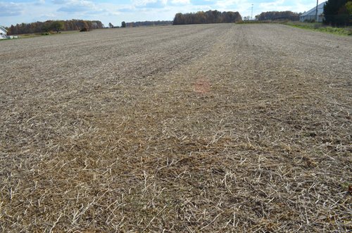 Property photo 24 - 75.3 Acres Offered in 2 Tracts